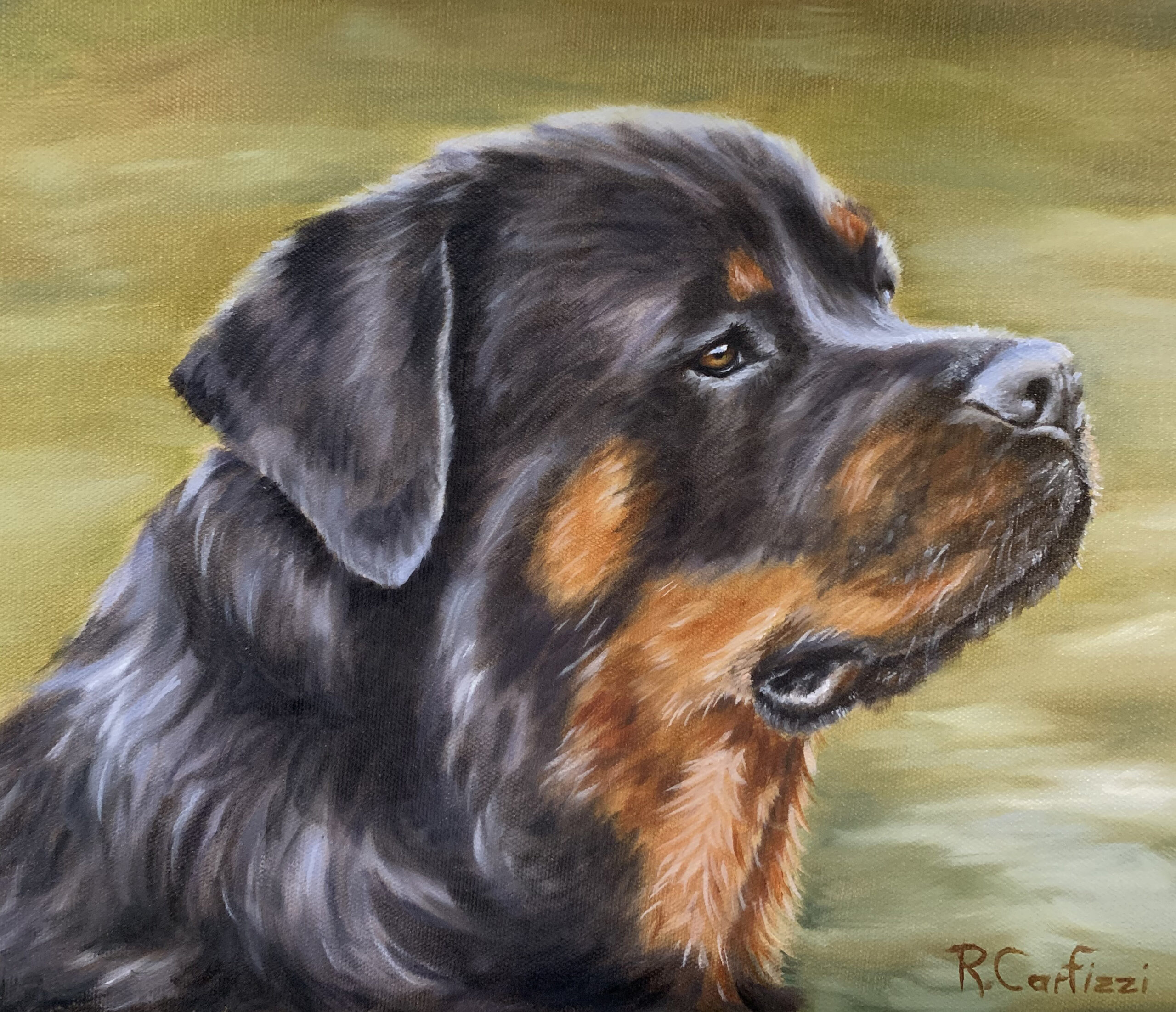 Rottweiler